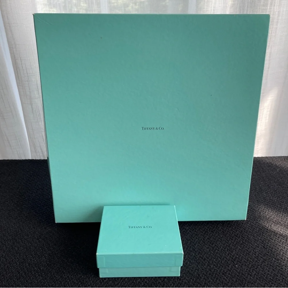 TIFFANY & CO Set of 2 Jewelry Storage Display Boxes